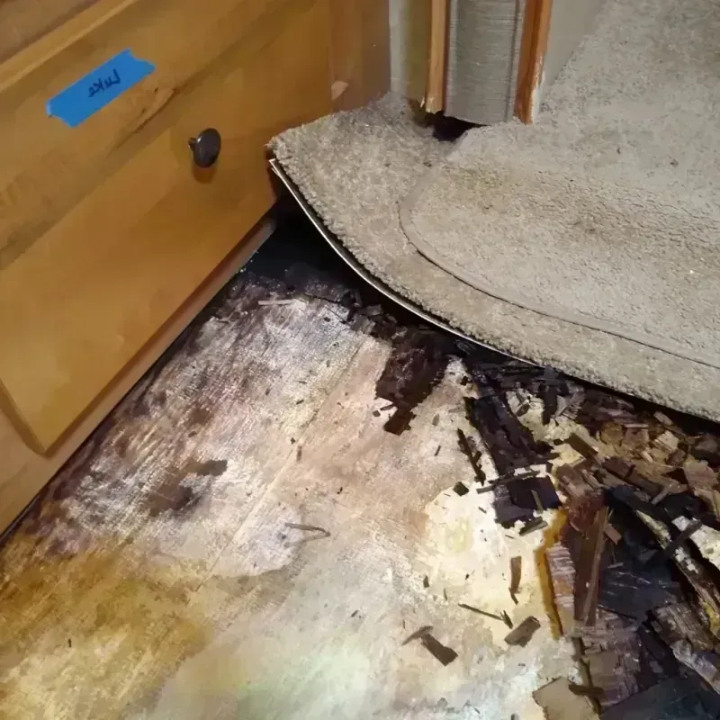 Wood Floor Water Damage in Warrior, AL